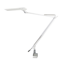 Load image into Gallery viewer, LED Desk Lamp 100V-220V